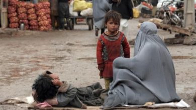صورة الأغذية العالمي: أكثر من 20 مليون شخص في أفغانستان لا يتمتعون بالأمن الغذائي