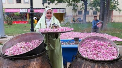 صورة إيران: انطلاق فعاليات مهرجان استخلاص ماء الورد الإيراني في طهران