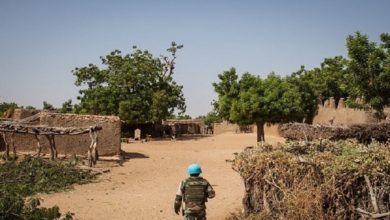 صورة الشرطة المالية: مقتل 20 مدنياً في هجوم مسلح على عدة قرى شمال مالي