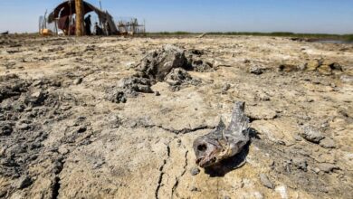 صورة العراق يطلب مساعدة دولية لمواجهة التغير المناخي