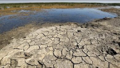 صورة عواقب كارثية لتغير المناخ.. دراسة تحذر من جفاف شديد يجتاح هذه الدول