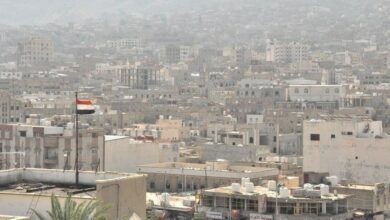 صورة العليمي وغروندبرغ يبحثان تمديد هدنة اليمن قبيل ساعات من انتهائها