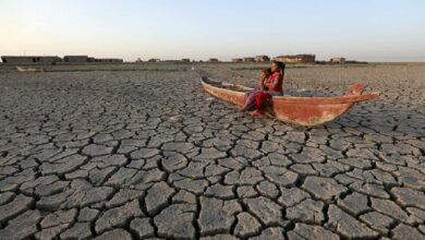 صورة منسق أممي يتحدث عن تحديات ومخاطر كبيرة تواجه العراق بسبب تغير المناخ