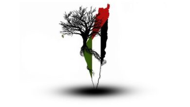 صورة في اليوم الدولي للتضامن مع الشعب الفلسطيني.. منظمة اللاعنف العالمية تطالب بحل عادل القضية الفلسطينية