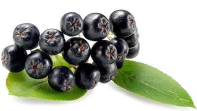 Berries strengthen conventional cancer drug treatment (Health)