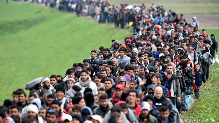 Photo of Germany’s Muslim population to be 20 million by 2020