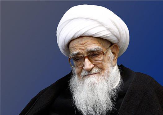 Photo of Grand Ayatollah Shaikh Safi Gulpaygani: Husseini rituals are the link between Shiites around the world