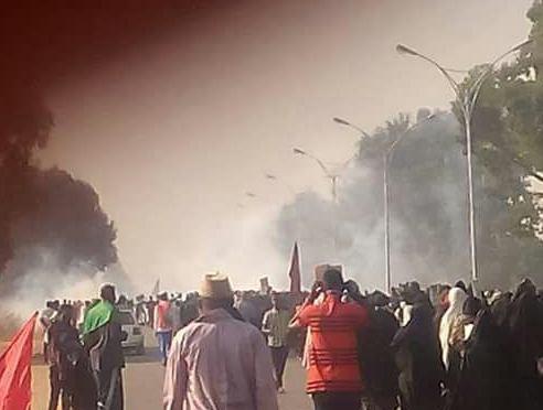 Photo of 100 killed as Nigerian forces open fire at Shia gathering