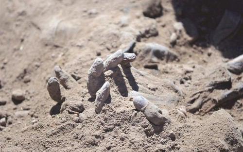 Photo of Iraq discovers 80 bodies at Camp Speicher Massacre site