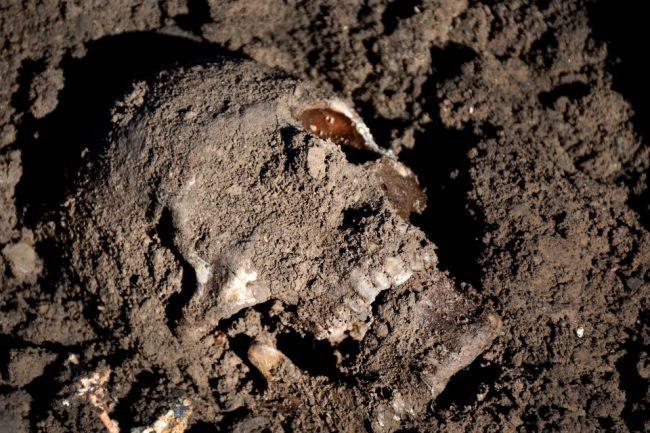 Photo of New mass grave found in Iraq’s western Mosul