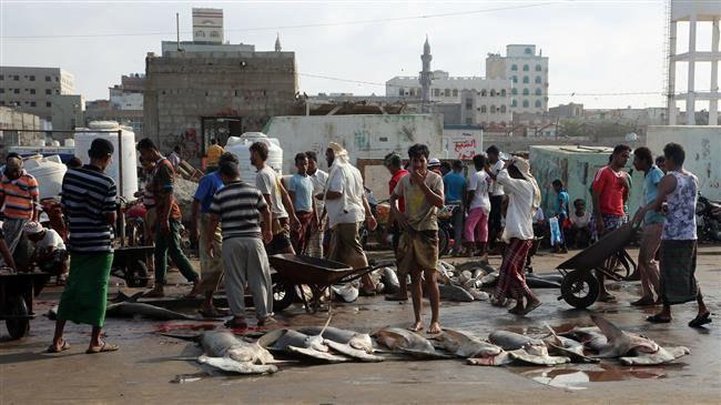 Photo of UN concerned over falling imports at Yemen’s lifeline port