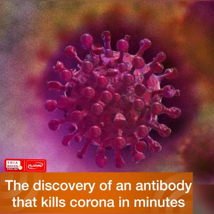Photo of The discovery of an antibody that kills corona in minutes