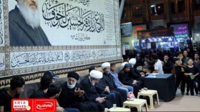 Photo of Mission of Grand Ayatollah Shirazi in Karbala continues its activities for Arbaeen Pilgrimage