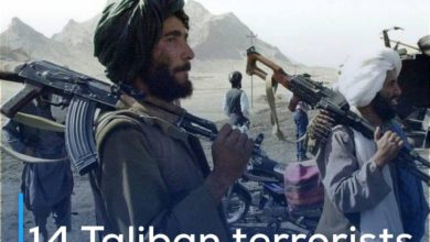 Photo of 14 Taliban terrorists killed in Afghanistan