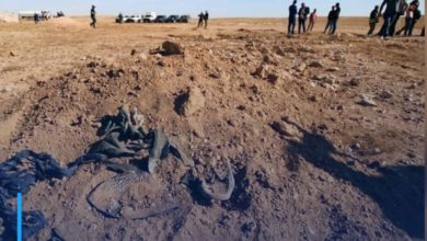 Photo of Mass grave discovered in southern Iraq