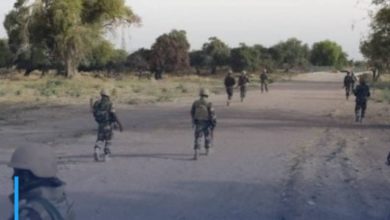Photo of Niger army repels major attack by Boko Haram terrorists in Diffa