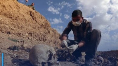 Photo of Iraq: Discovery of a “very large” mass grave in Diyala