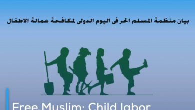 Photo of Free Muslim: Child labor monitoring statistics indicate dangerous rise in forced labor