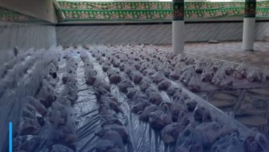 Photo of The Office of Grand Ayatollah Shirazi in Mazar-i-Sharif distributes sacrificial meat to the underprivileged