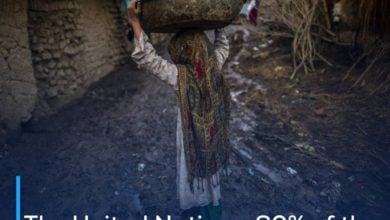 Photo of The United Nations: 60% of the population of Afghanistan is facing a hunger crisis