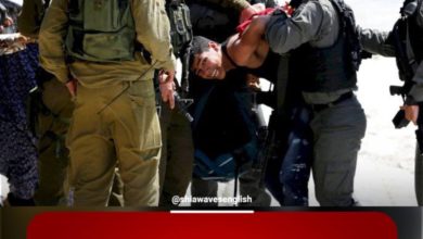 Photo of International Nonviolence demands the international community to take responsibility for Israeli violations