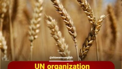 Photo of UN organization warns of exacerbation of famine in the world
