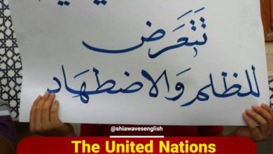 Photo of The United Nations confirms the continuation of discrimination against Shias in Bahrain