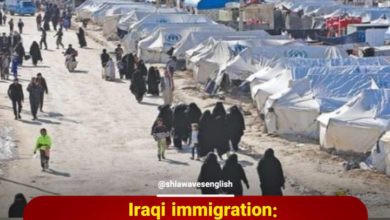 Photo of Iraqi immigration: 500 families transferred from Al-Hol camp to the country annually