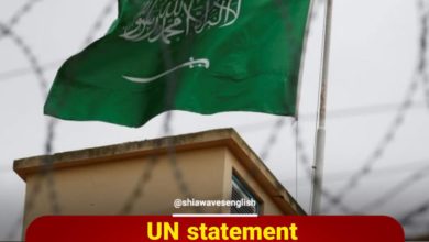 Photo of UN statement condemns the mass beheadings in Saudi Arabia