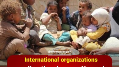 Photo of International organizations sounding the alarm as Yemenis face starvation