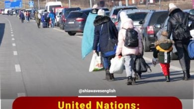 Photo of United Nations: 10 million Ukrainians have been displaced within the country or sought refuge in neighboring countries