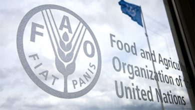Photo of United Nations: Ukraine war ‘aggravating’ existing global food crisis
