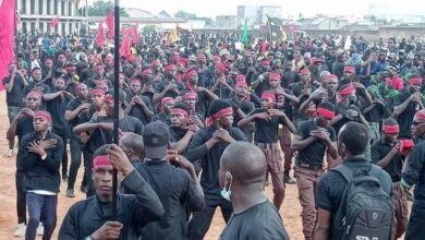 Photo of Nigeria: Forces kill six Shia mourners, wound over 50 while commemorating sacred rituals of Ashura 