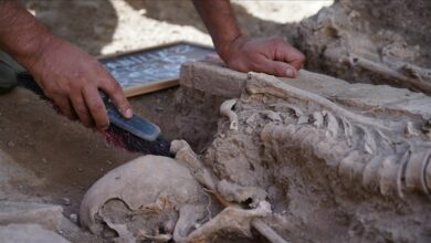 Photo of Human remains from Islamic era found in Granada, Spain