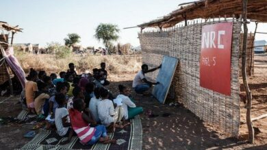 Photo of Organizations warn of a generational catastrophe due to the failure of a third of children to attend school in Sudan