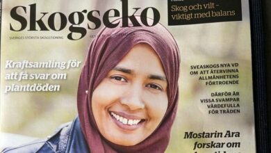 Photo of Bangladeshi Muslim researcher faces offensive comments in Sweden due to headscarf