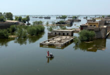 Photo of Pakistan’s food crisis deepens with arable land still under water