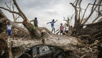 Photo of UNICEF launches new child-focused climate initiative to head off disasters