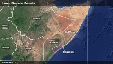 Photo of Somalia military operation, airstrikes kill at least 100 Al-Shabab militants