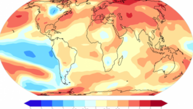 Photo of WMO: The past eight years have been the hottest on record