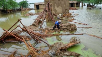 Photo of Recent floods, rains pose ‘serious’ threat to wildlife in Pakistan