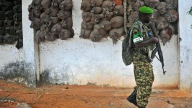 Photo of Fresh operation in Somalia kills at least 61 Al-Shabaab terrorists