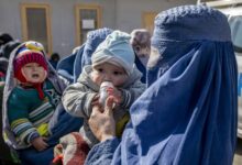Photo of UN Food Agency: Afghan Malnutrition Rates at Record High