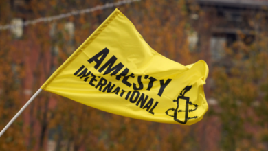 Photo of Ongoing human rights crisis in Egypt and India must be addressed, Amnesty International says
