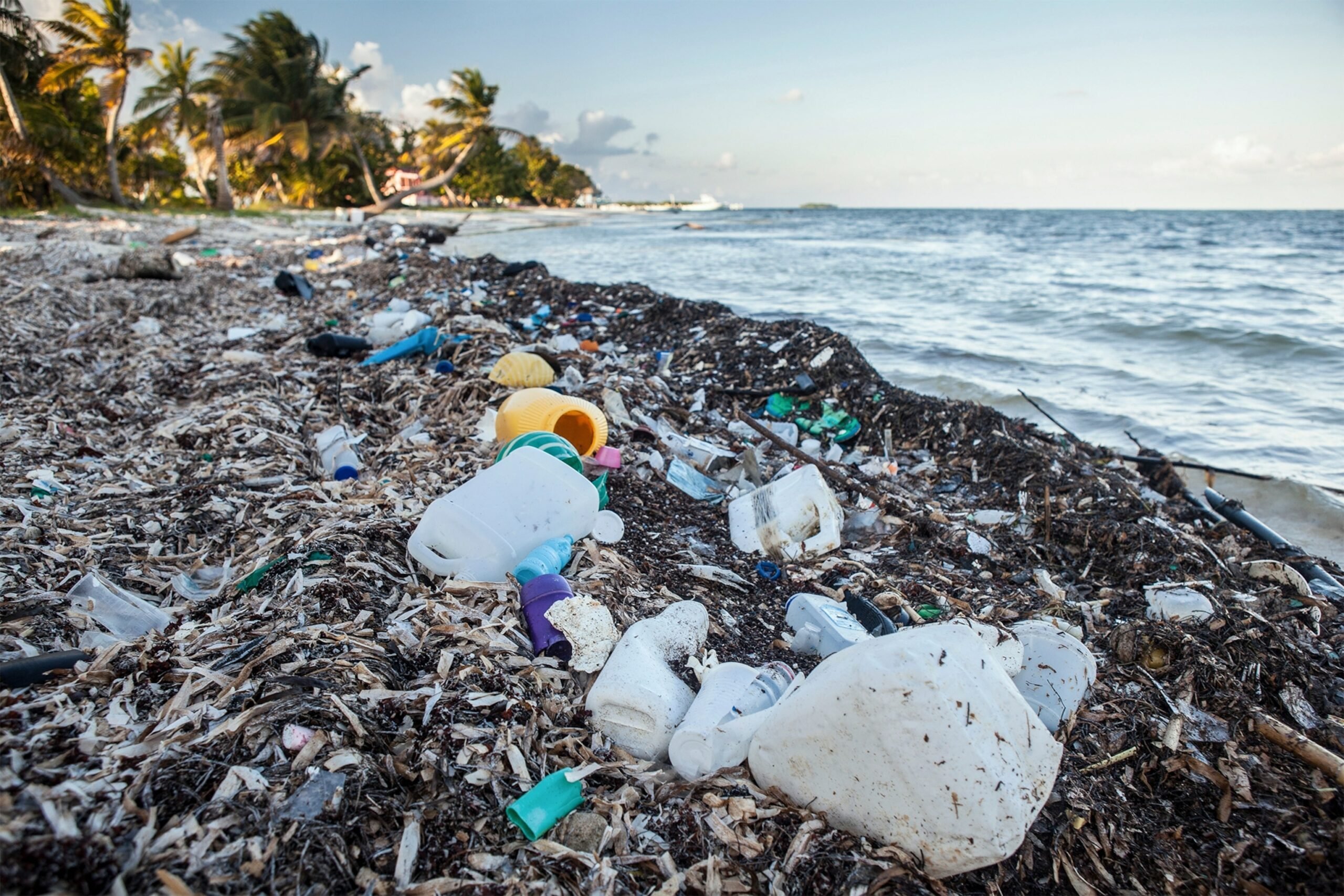 oceans-littered-with-171-trillion-plastic-pieces-scientists-say-shia