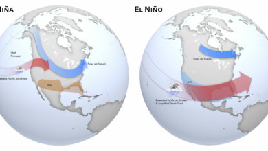 Photo of El Nino” phenomenon leads to sudden increase in temperature in the world