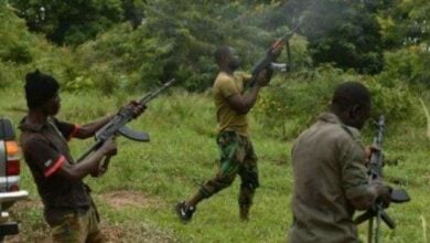 Photo of Gunmen kill 24 people including children in Nigeria
