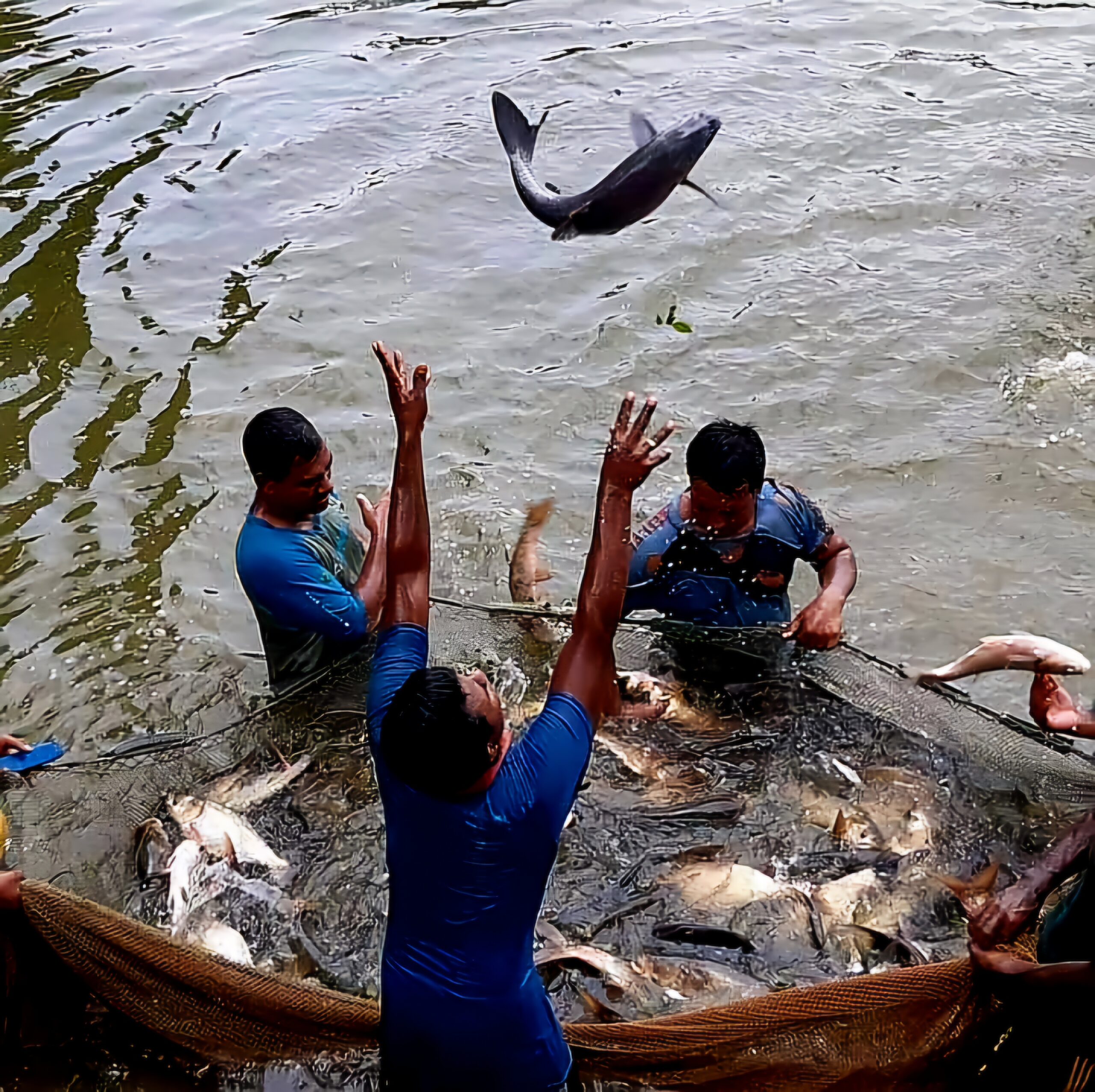 Fish species are exposed to death due to climate change, Bangladeshi ...
