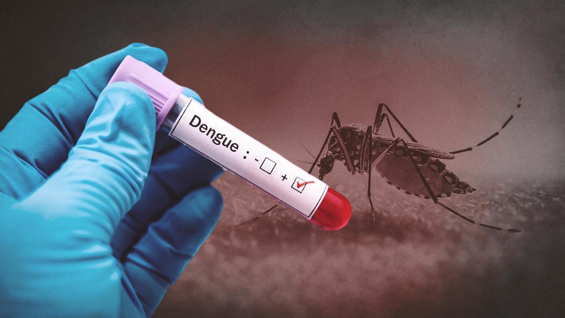 Dengue Cases Surge in Bangladesh Amidst Health Concerns - Shia Waves