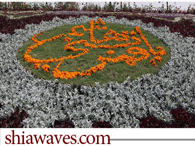 تصویر اجرای بزرگترین نقش فرش از جنس گل توسط واحد کشاورزی آستان مقدس عباسی